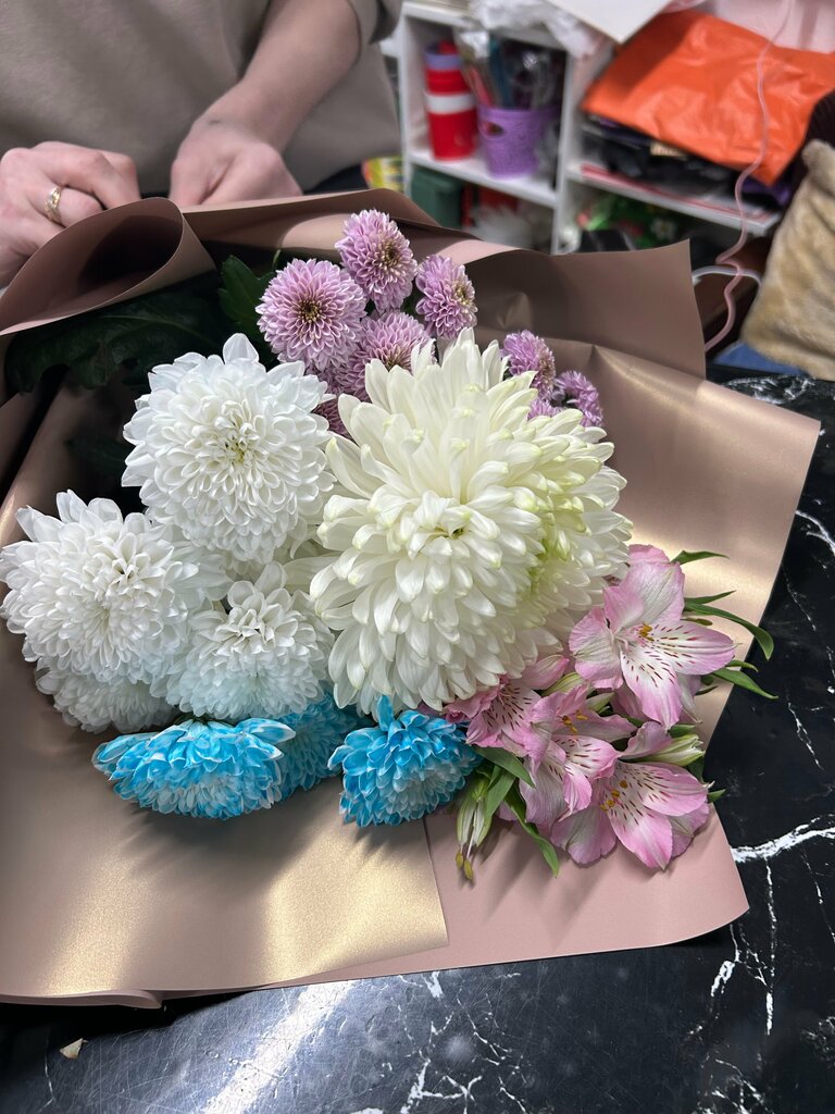 настя гилева