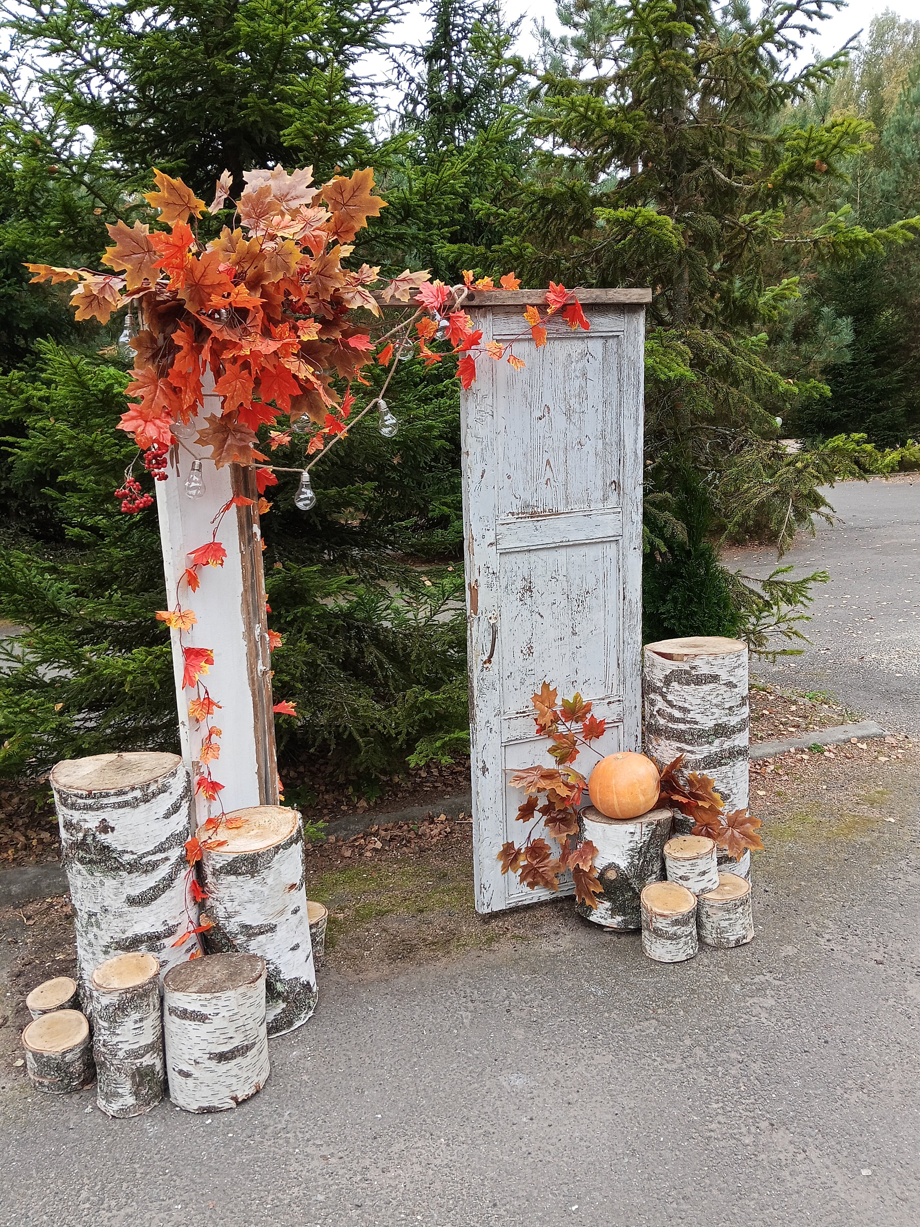 Фото Парк-отель Красновидово