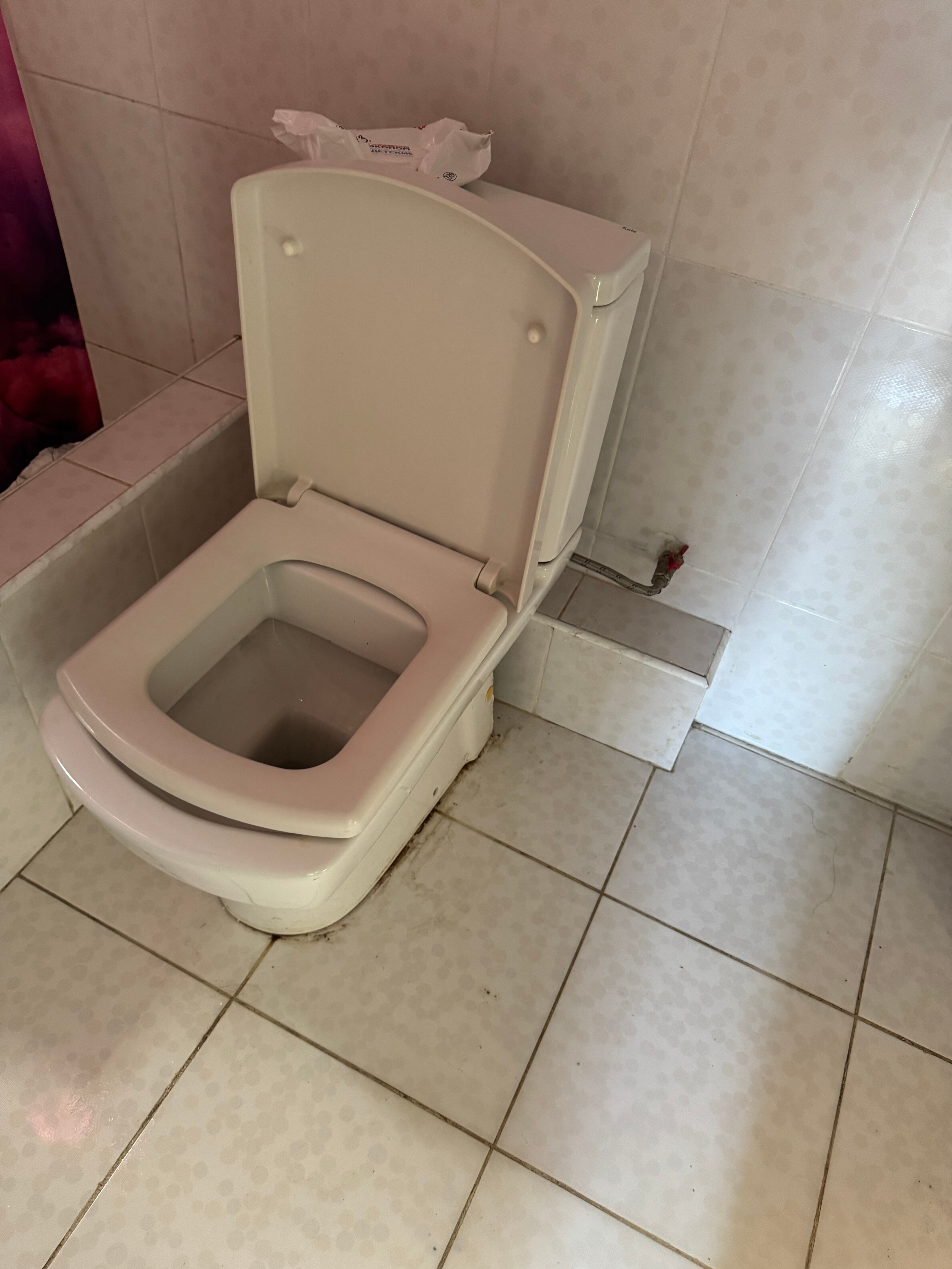 Фото Ван-Голд