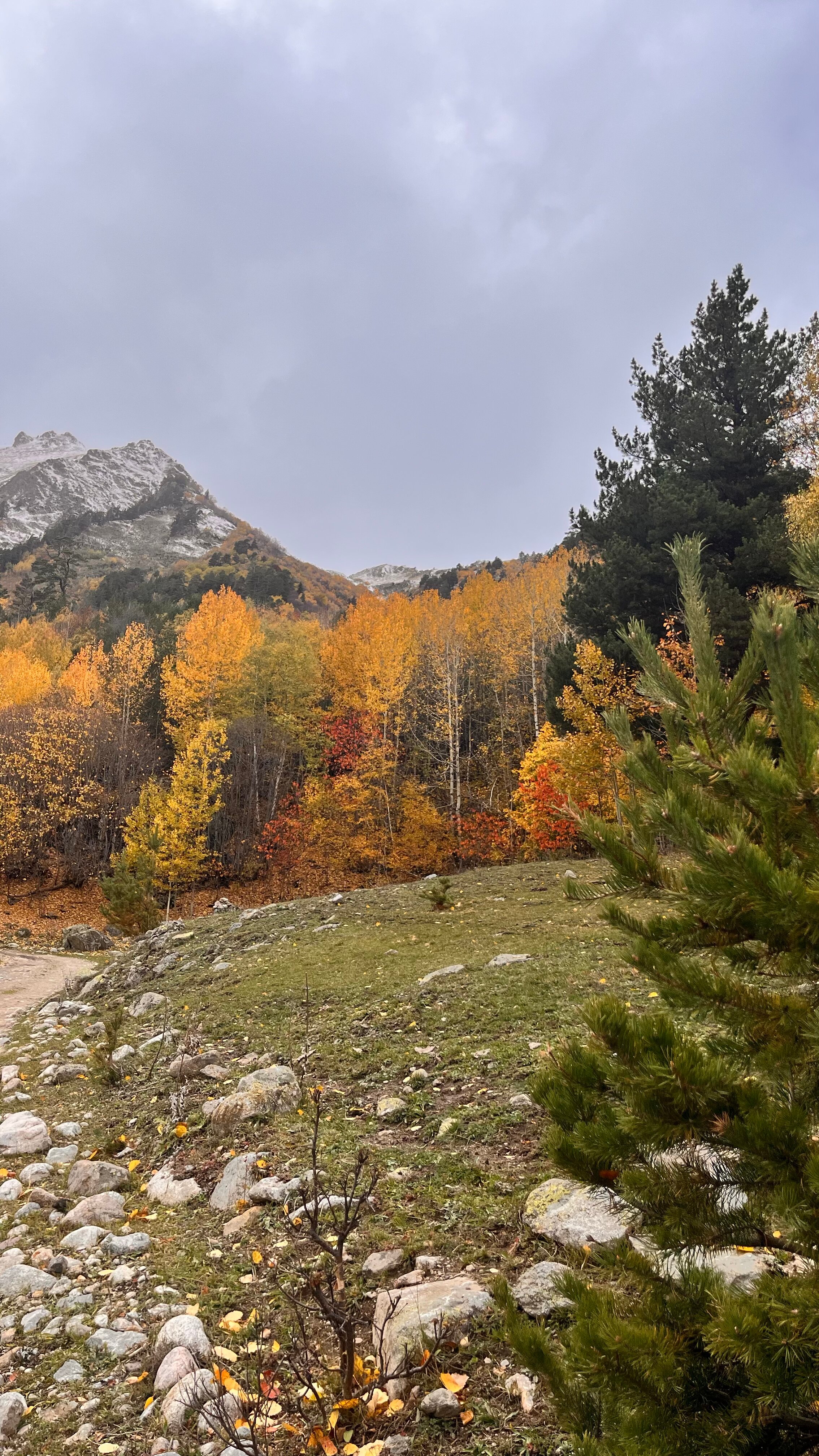 Фото Атмосфера Архыз