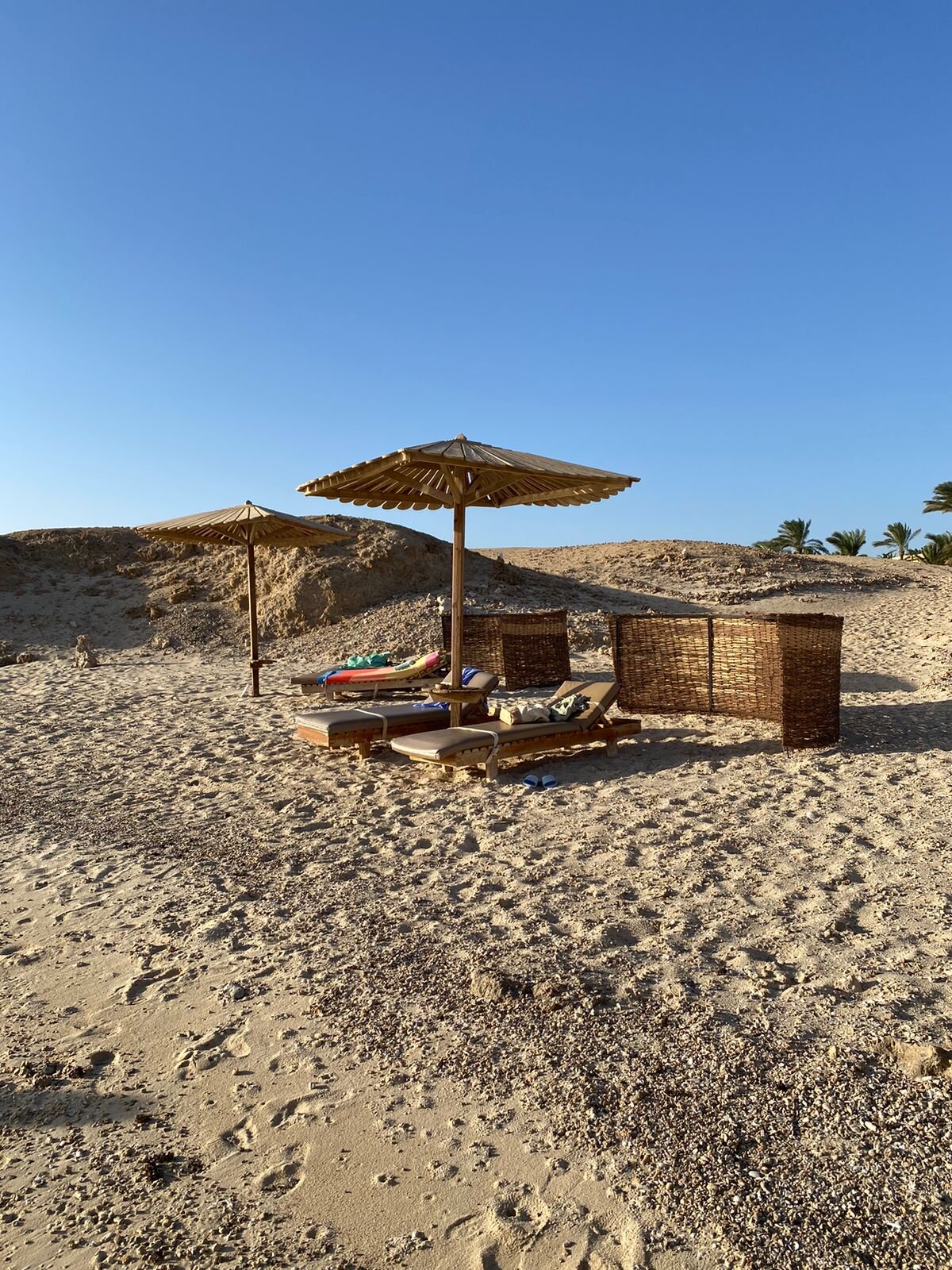 Фото The Three Corners Fayrouz Plaza Beach Resort