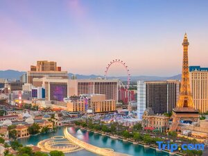 Гостиница Circa Resort & Casino