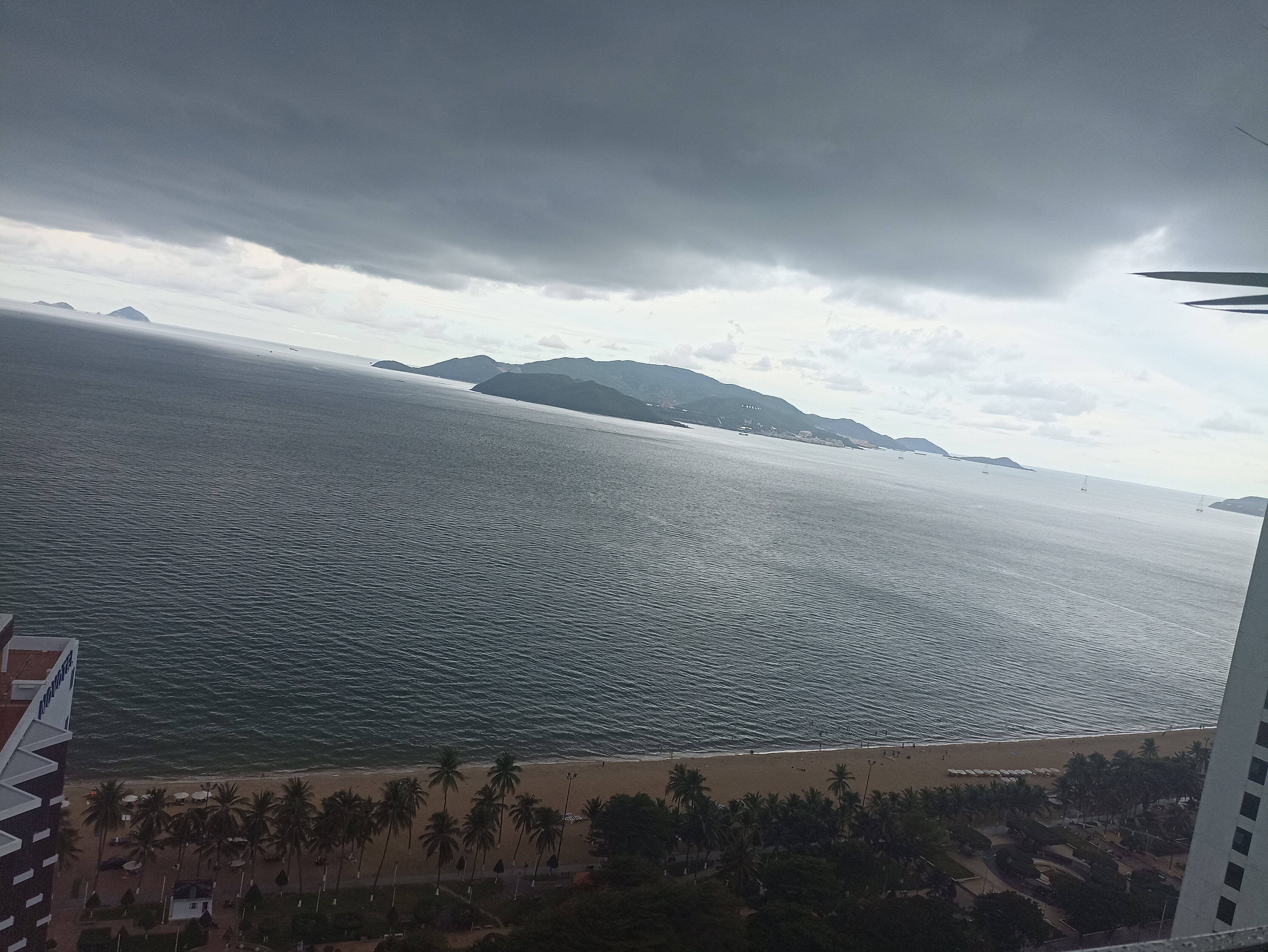 Фото Maple Leaf Hotel & Apartment