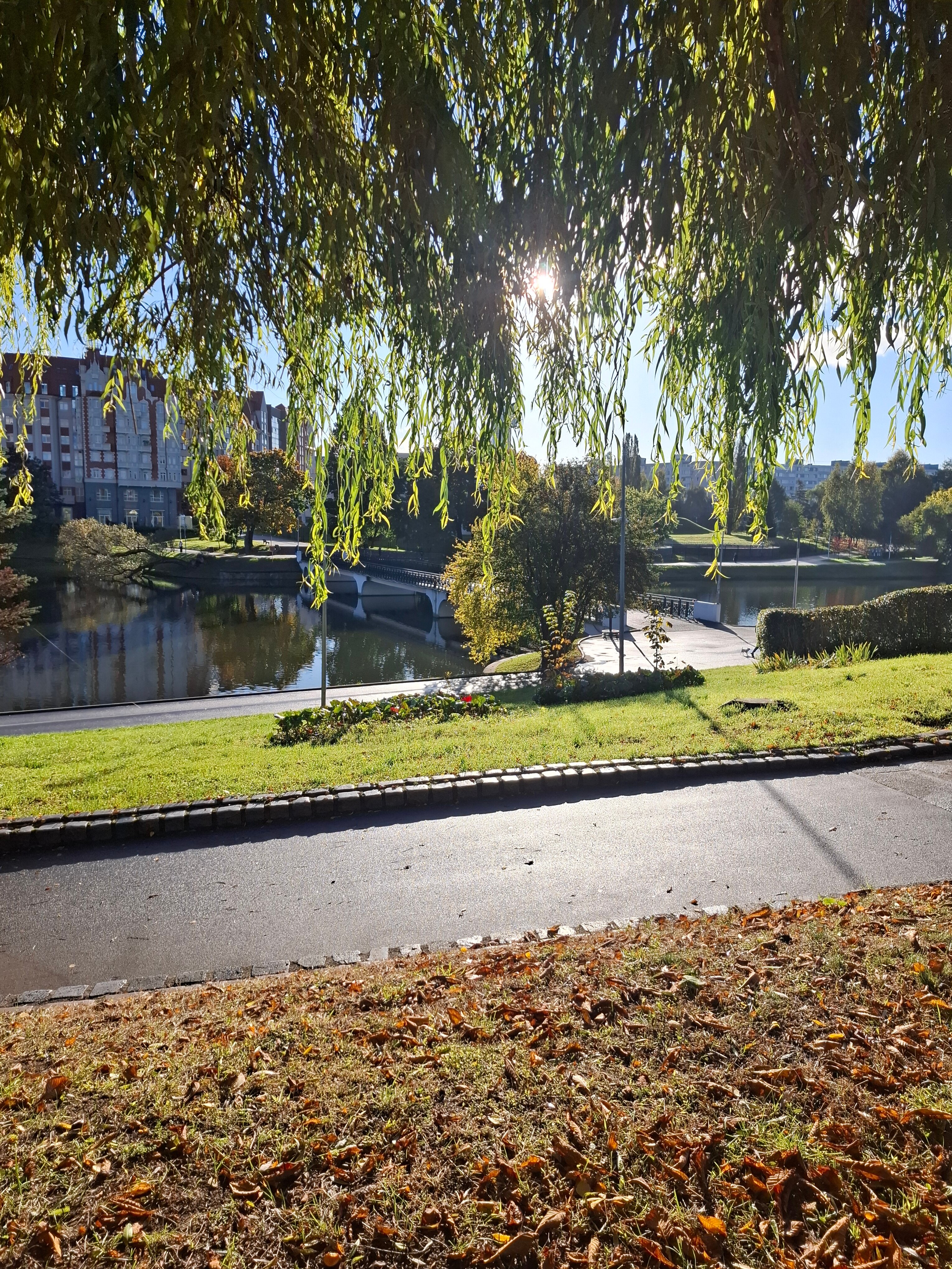 Фото Pavlov на улице Сергеева