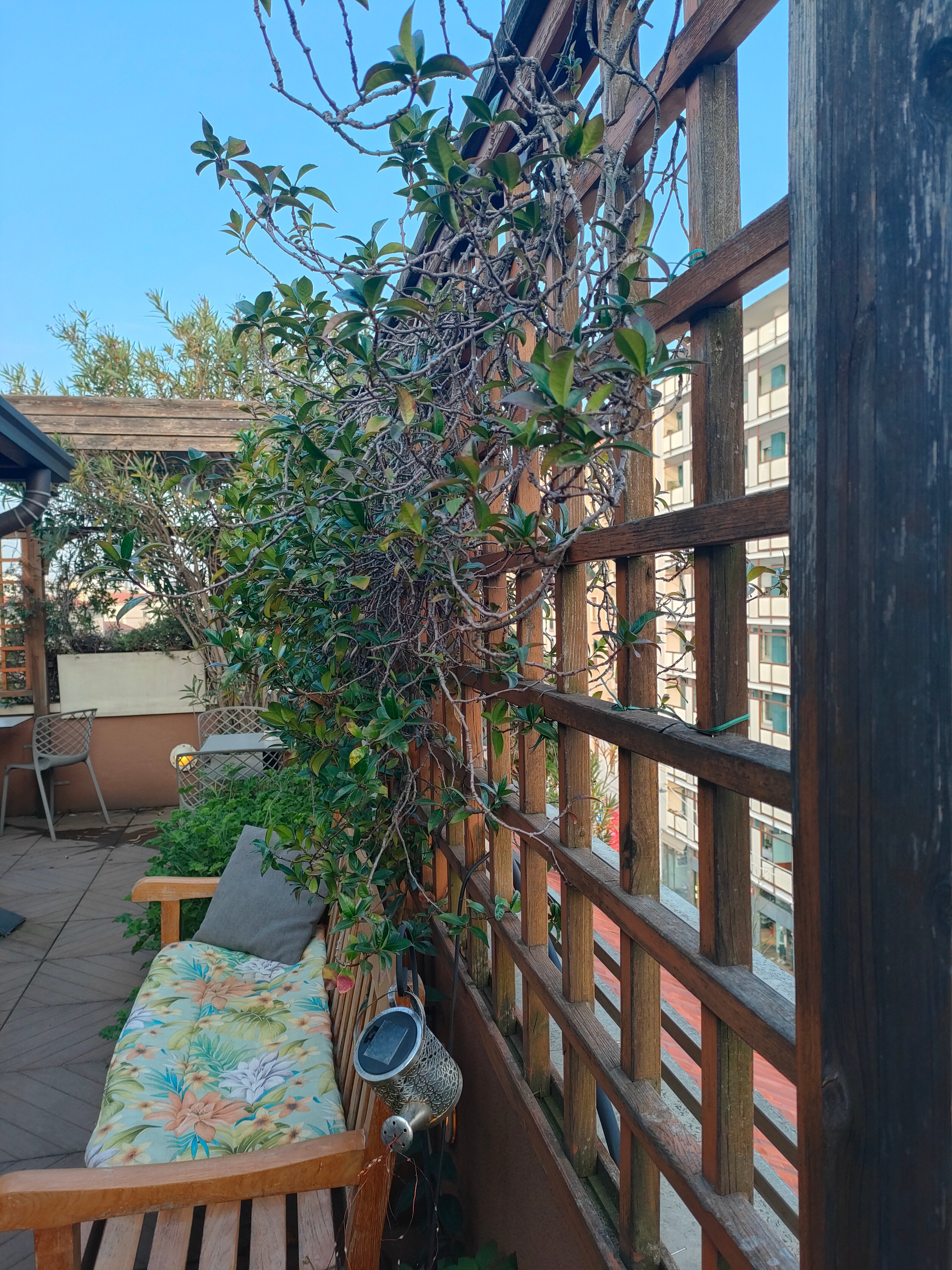 Фото Metro Hotel