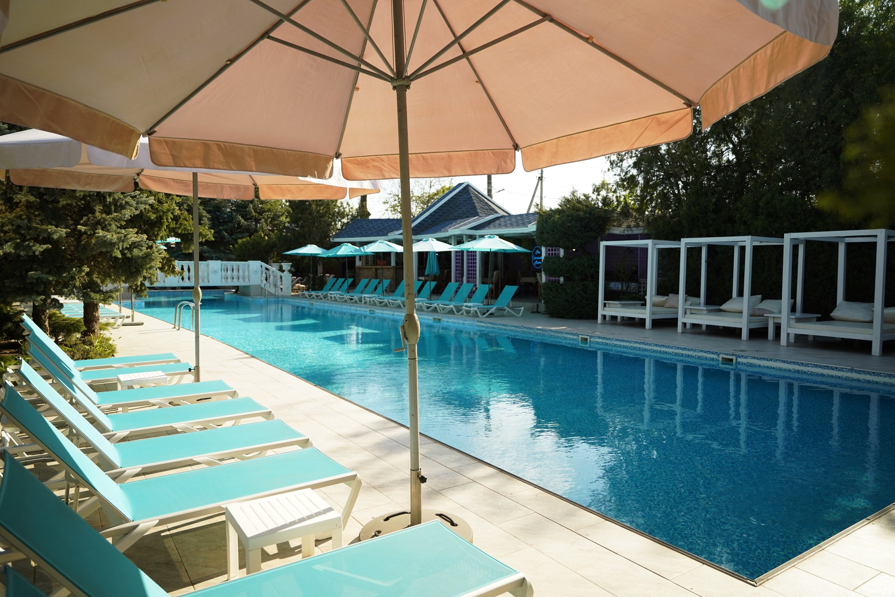 Фото Александр