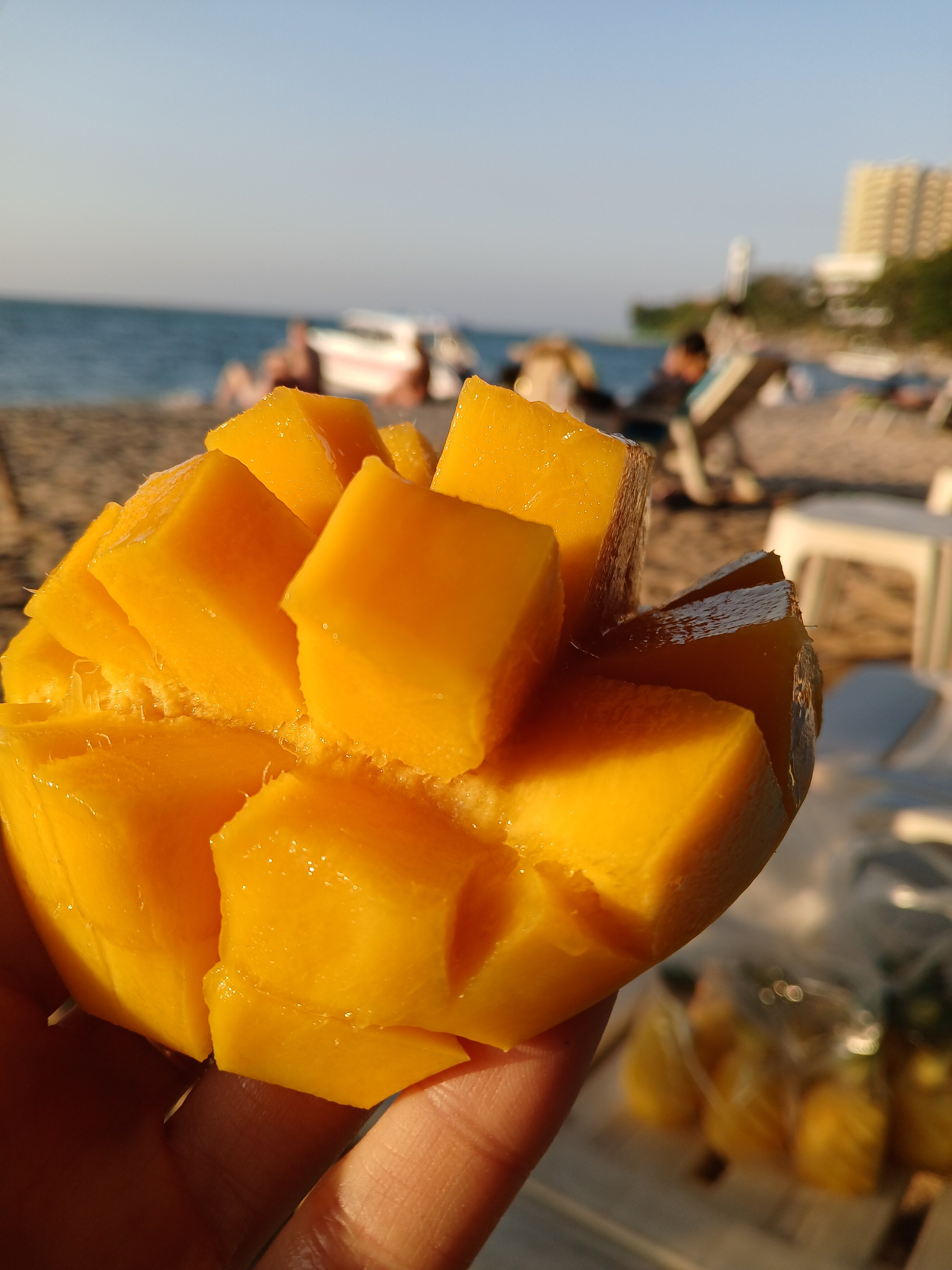 Фото Cosy Beach Hotel