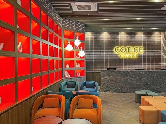 Фото Cotice The Ground