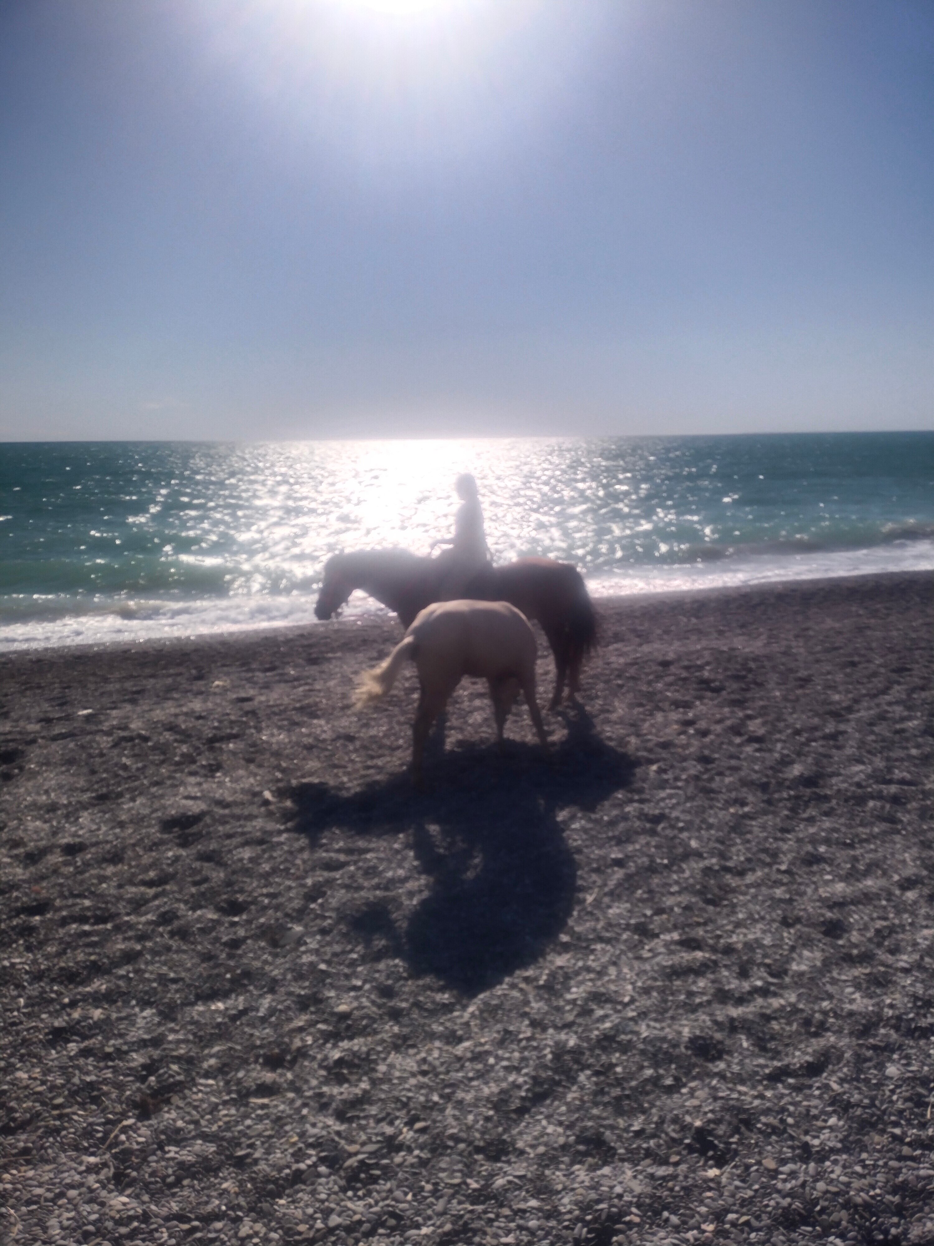 Фото Наше Место