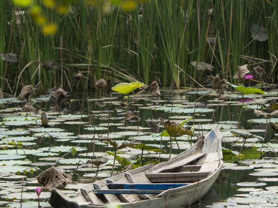 Фото Maisons Wat Kor