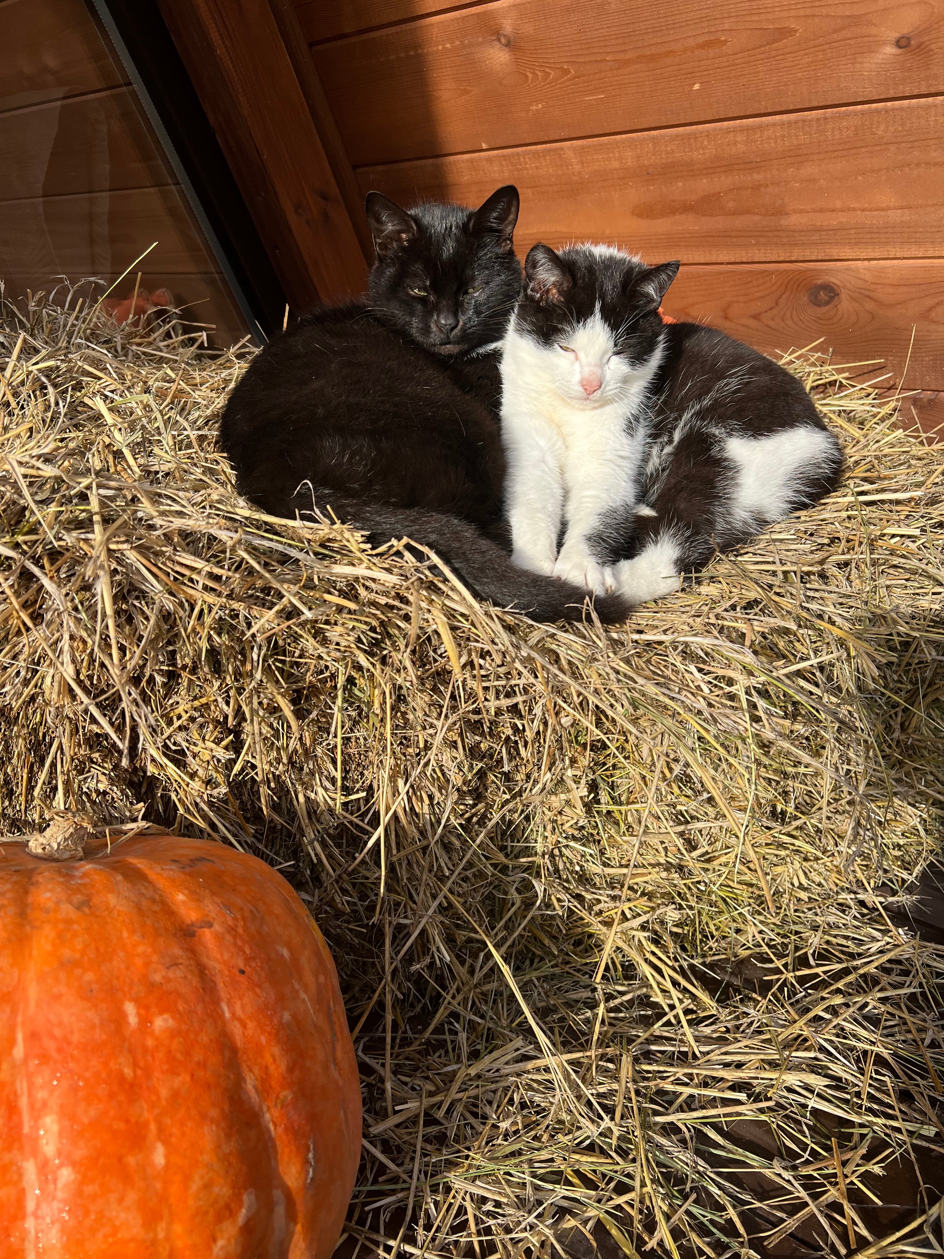 Фото Дом Углом