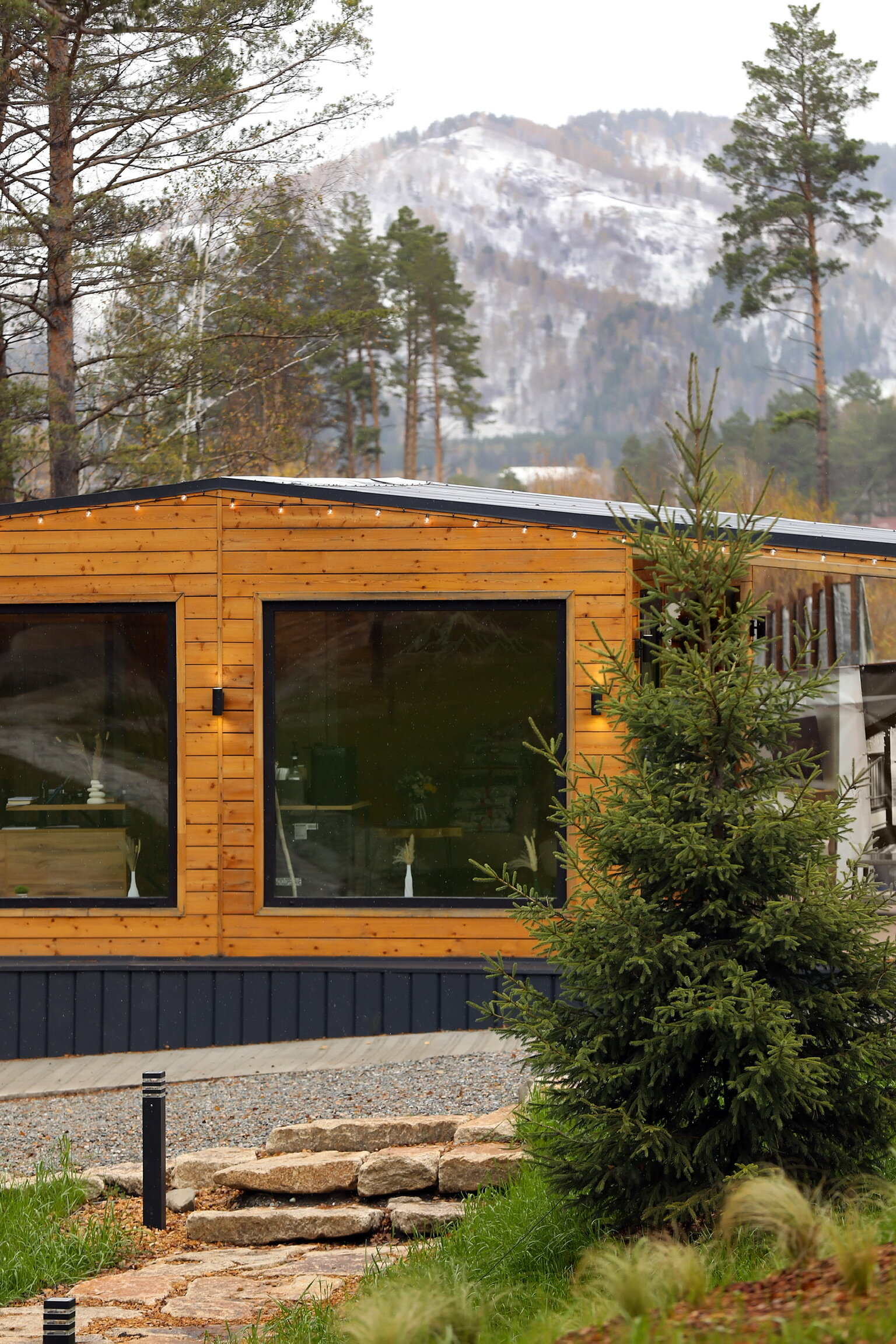 Фото Forest Green