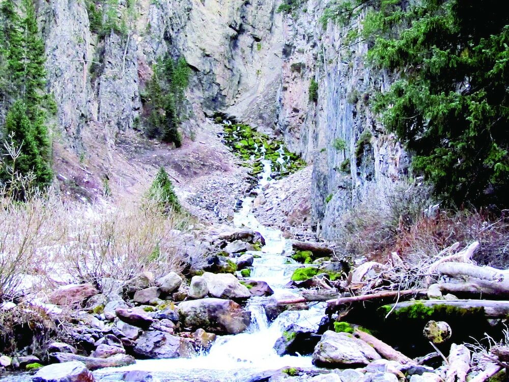 Фото Fairfield Inn & Suites Afton Star Valley