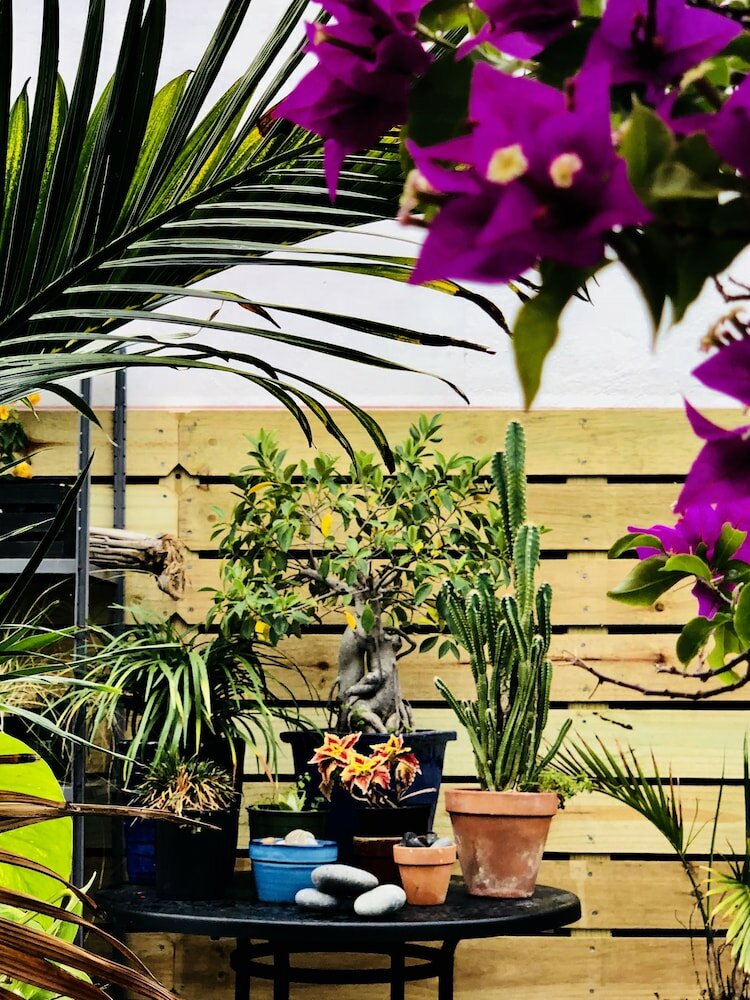 Фото Oasis Hotel