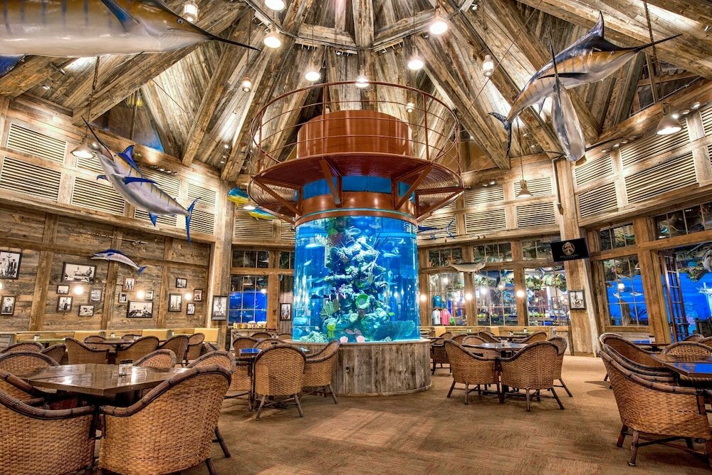 Фото Big Cypress Lodge