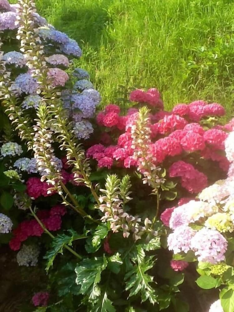 Фото Hotel Peñalba