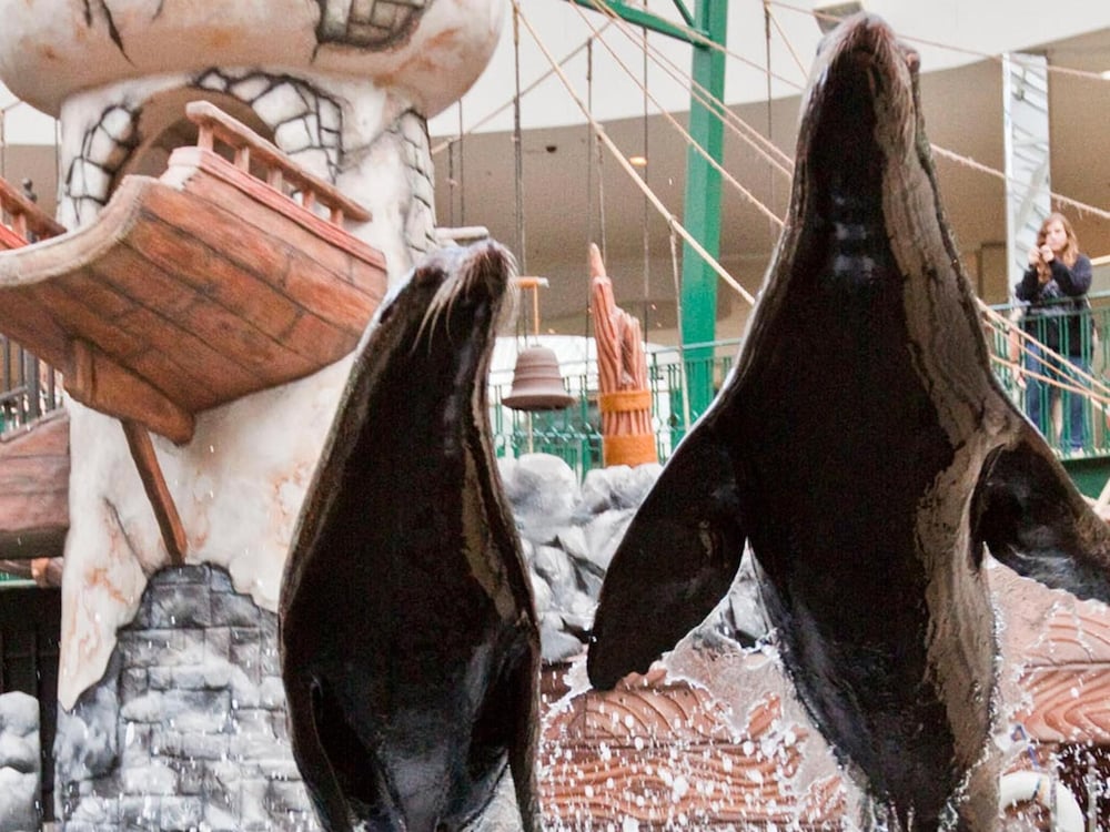 Фото West Edmonton Mall Inn