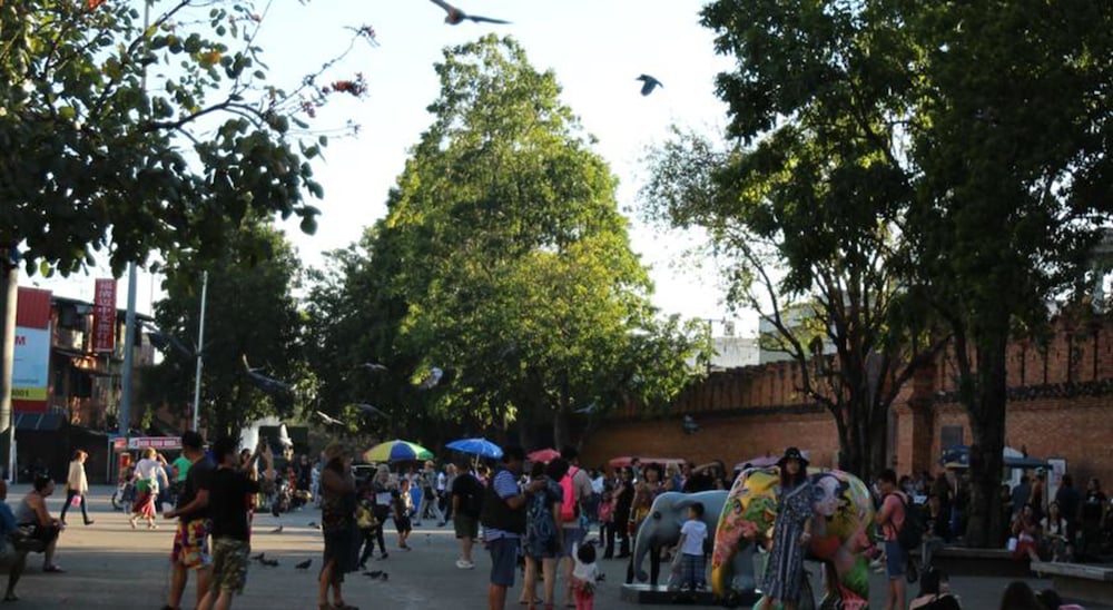 Фото Z's Hostel at Tha Phae Gate