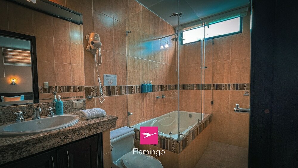 Фото Hotel Flamingo