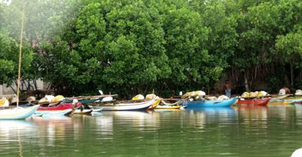 Фото House Of Seya