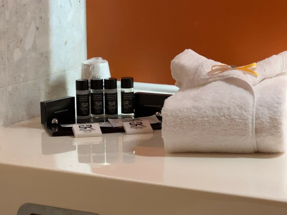 Фото Hotel San Ranieri