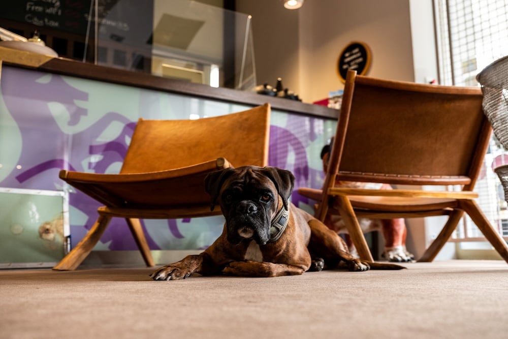 Фото Hotel Villa Carlton