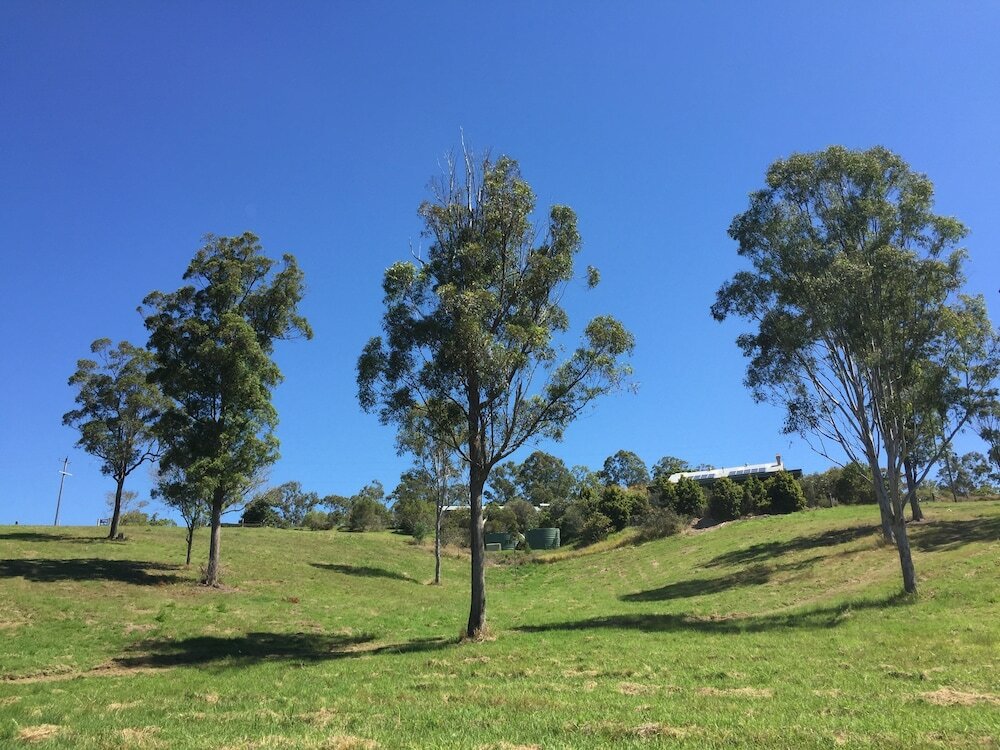 Фото Amamoor Lodge