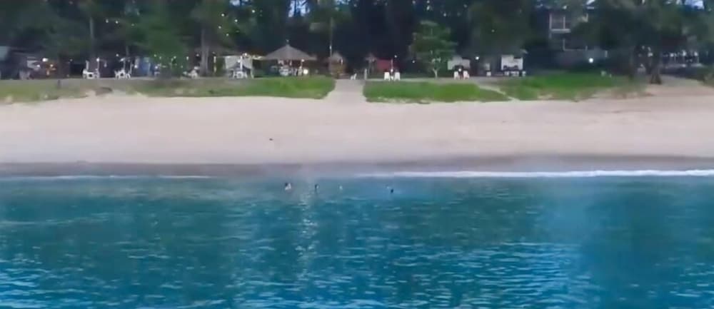 Фото Micky Monkey Beach Hotel Phuket Maikhao Thailand