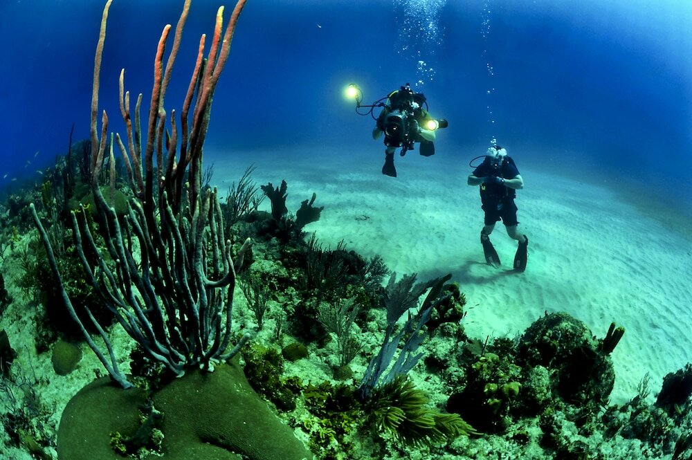 Фото Maestral Resort & Casino