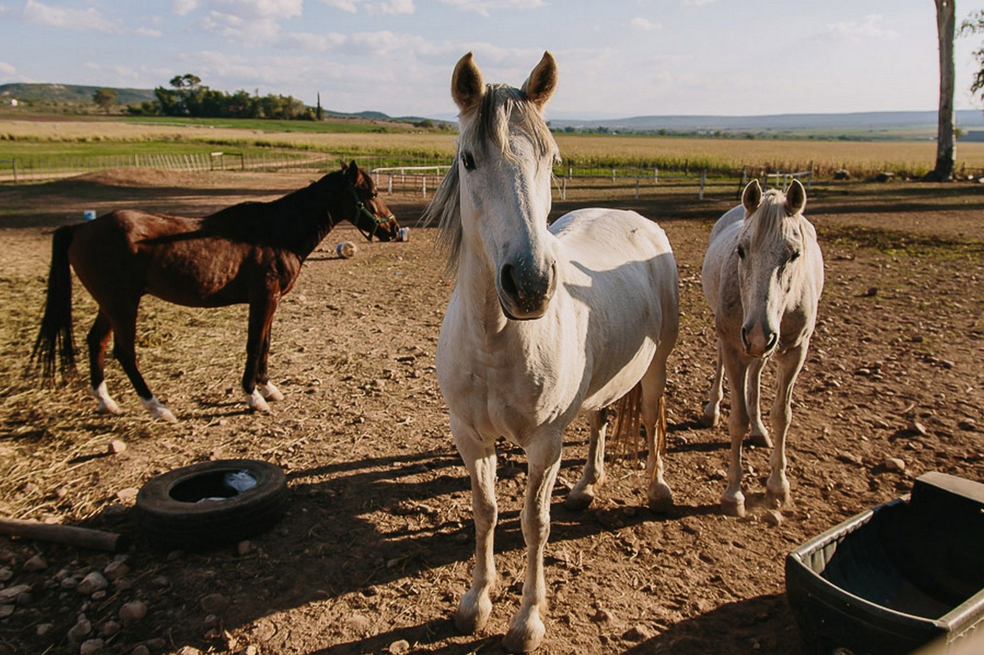 Фото AfriCamps Klein Karoo