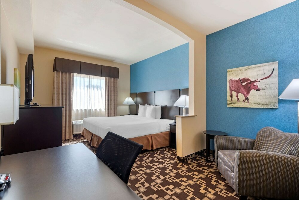 Фото Best Western Plus Arlington North Hotel & Suites