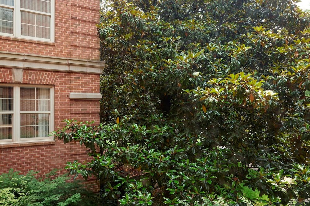 Фото Westfields Marriott Washington Dulles