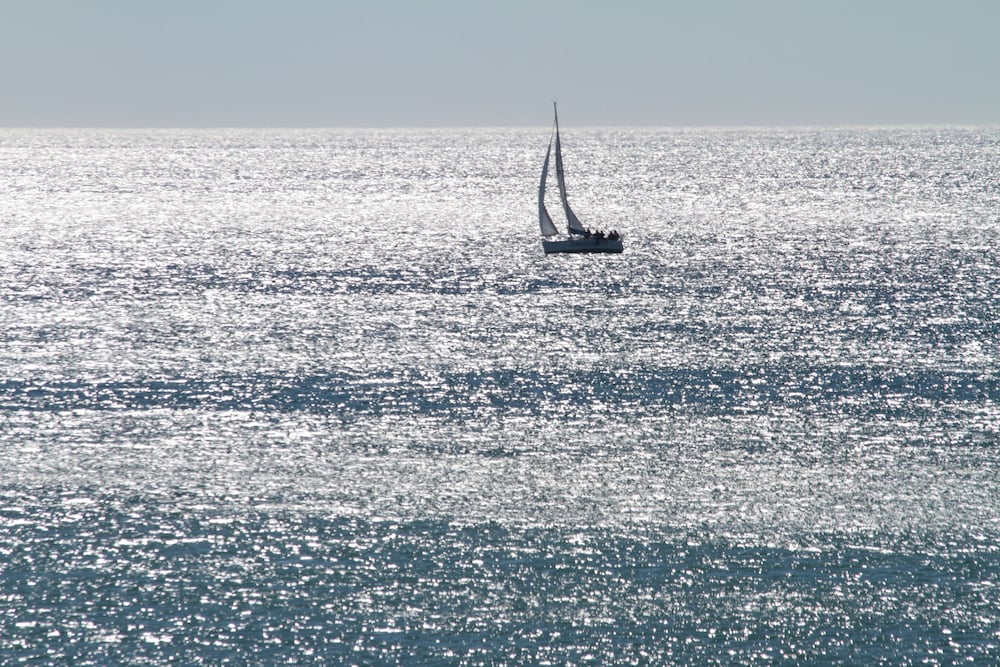 Фото Hotel Mediterráneo Carihuela