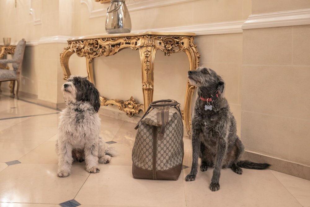 Фото Hotel Manos Stephanie