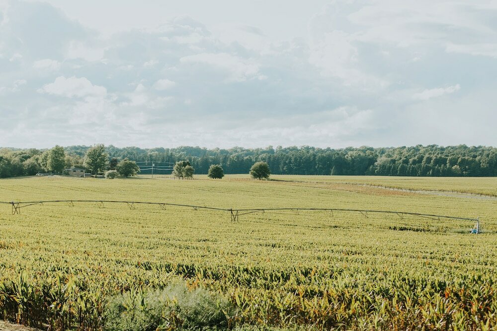 Фото The River House at The Morris Estate