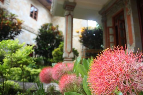 Внешний вид отеля Rambutan Boutique Hotel & SPA в Калясеме, фото 2