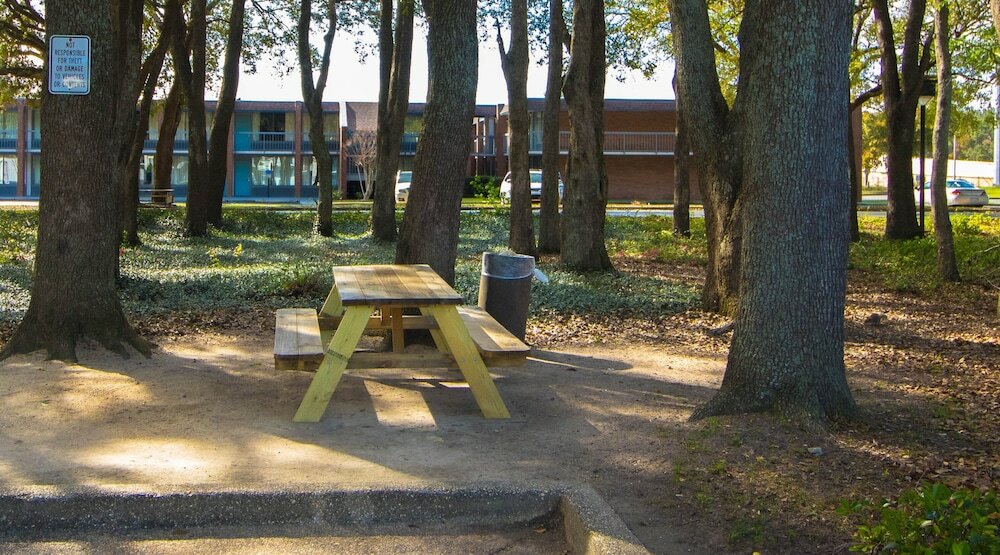 Фото Sweet Dream Inn University Park