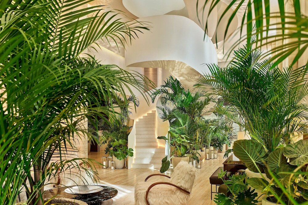 Фото The Tampa Edition