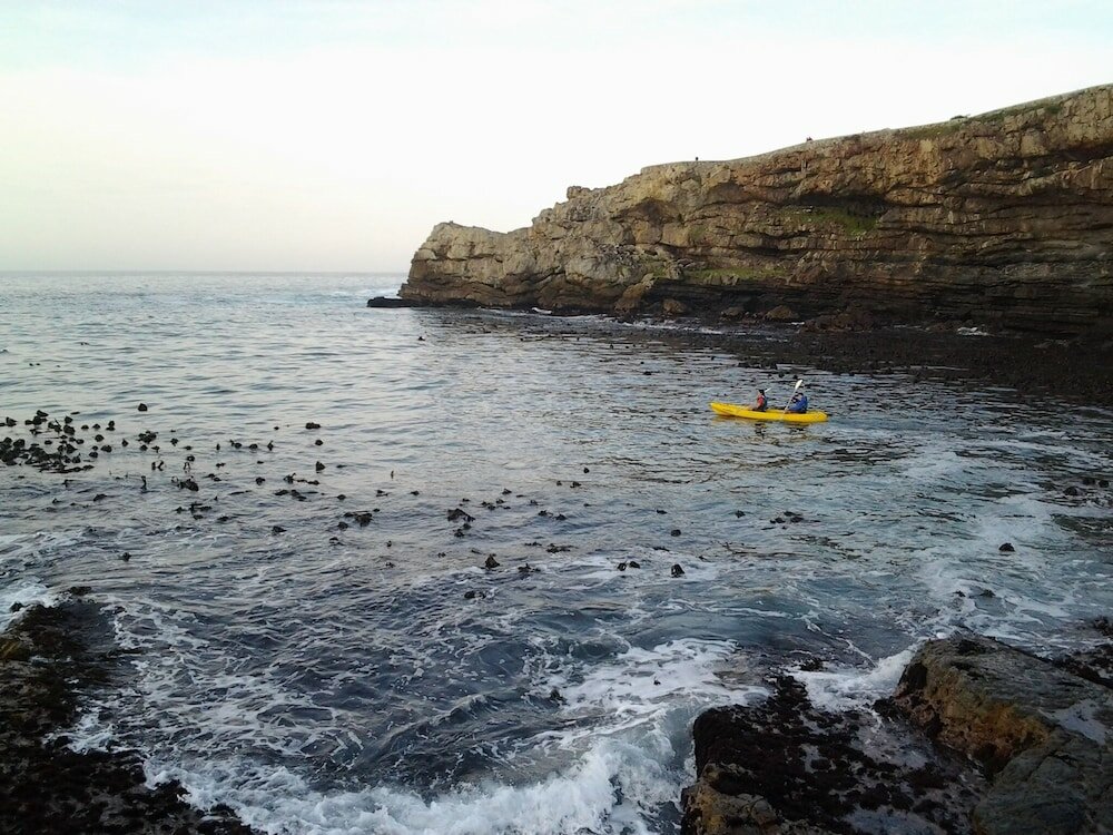 Фото The Potting Shed Guest House