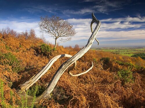 Внешний вид отеля The Hood Arms в Килве, фото 3