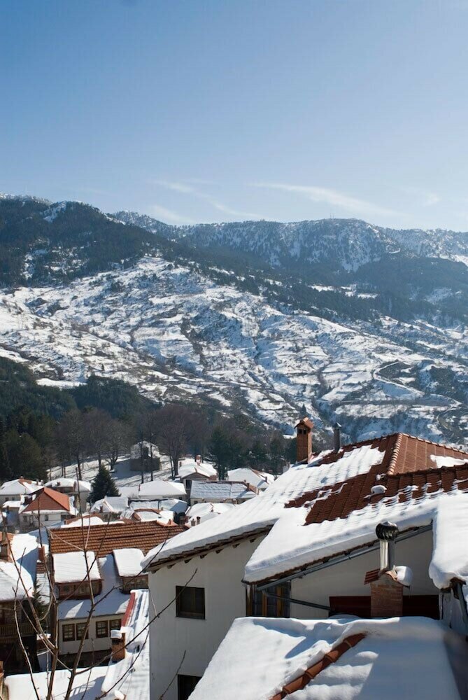 Фото Asteri Metsovo