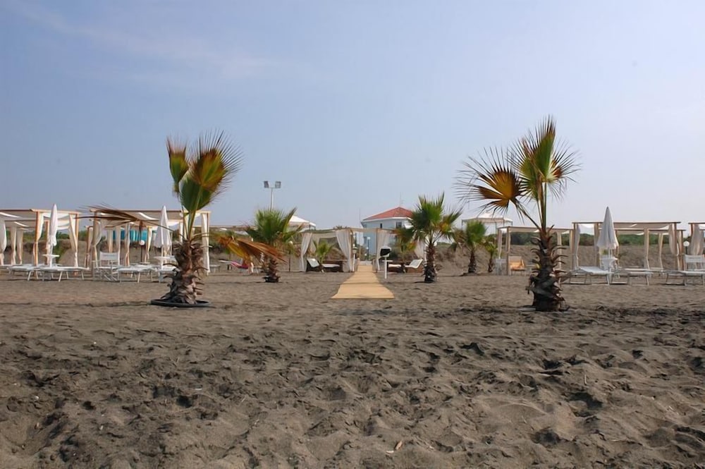 Фото Domizia Palace Hotel