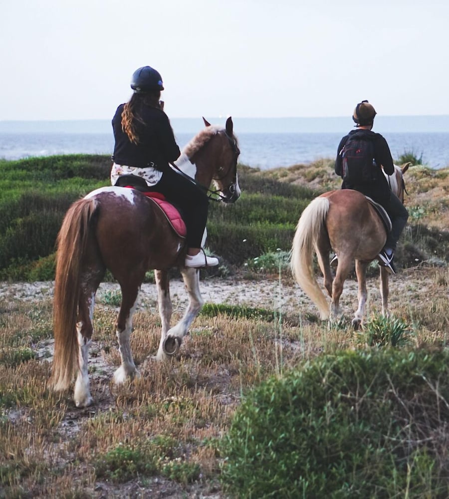 Фото Horse Country Resort Congress & SPA