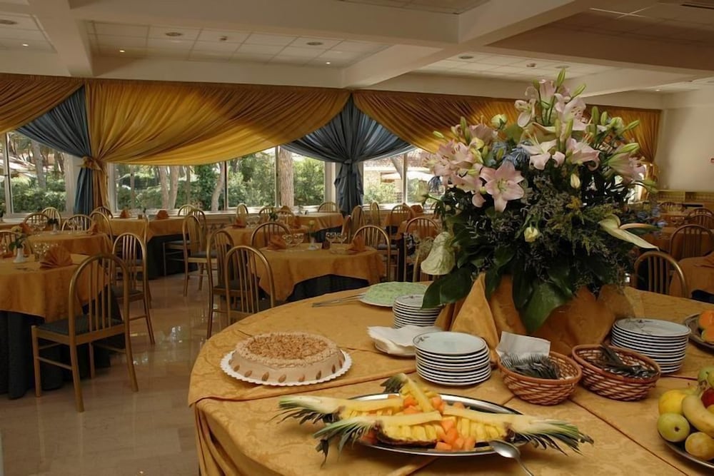 Фото Domizia Palace Hotel