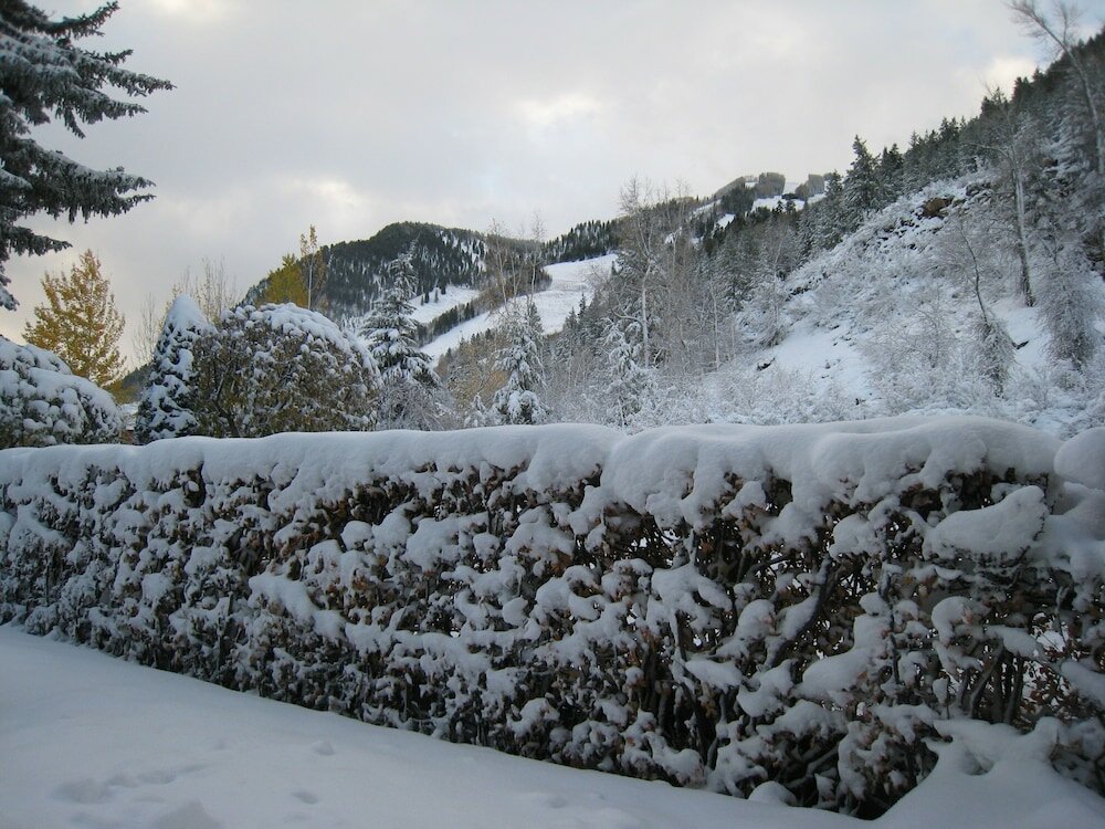 Фото St. Moritz Lodge & Condominiums