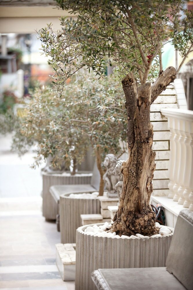 Фото Parthenon Art Hotel