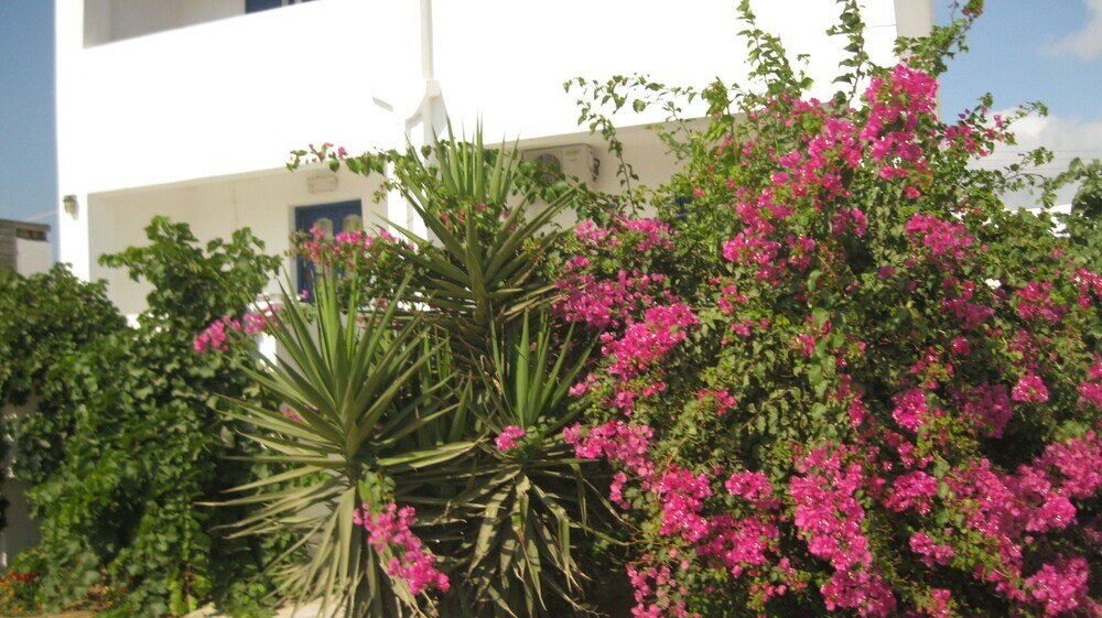 Фото Aronis Plaka Naxos