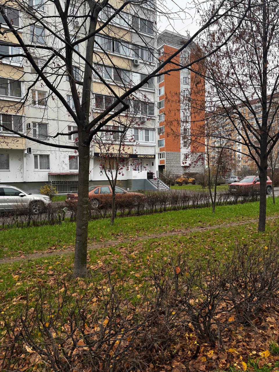 Фото Лоренцо