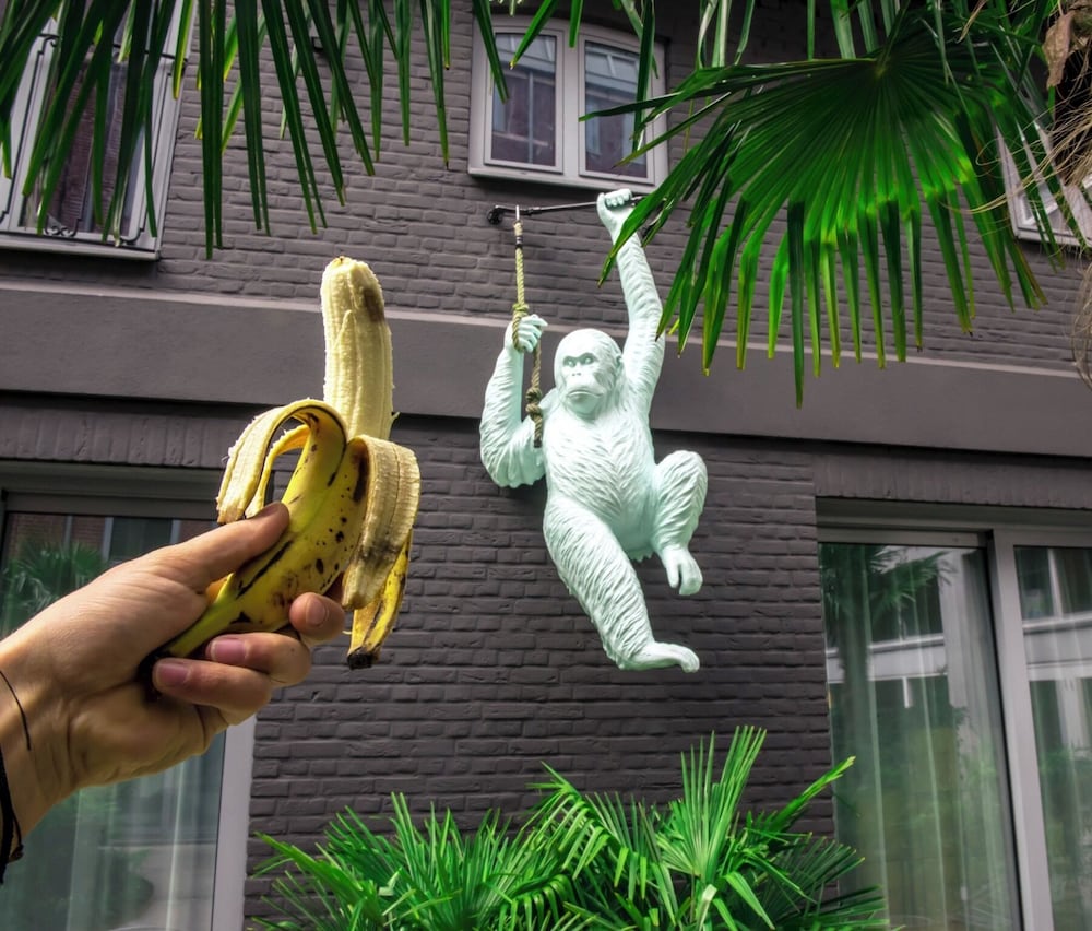 Фото Hotel The Dutch