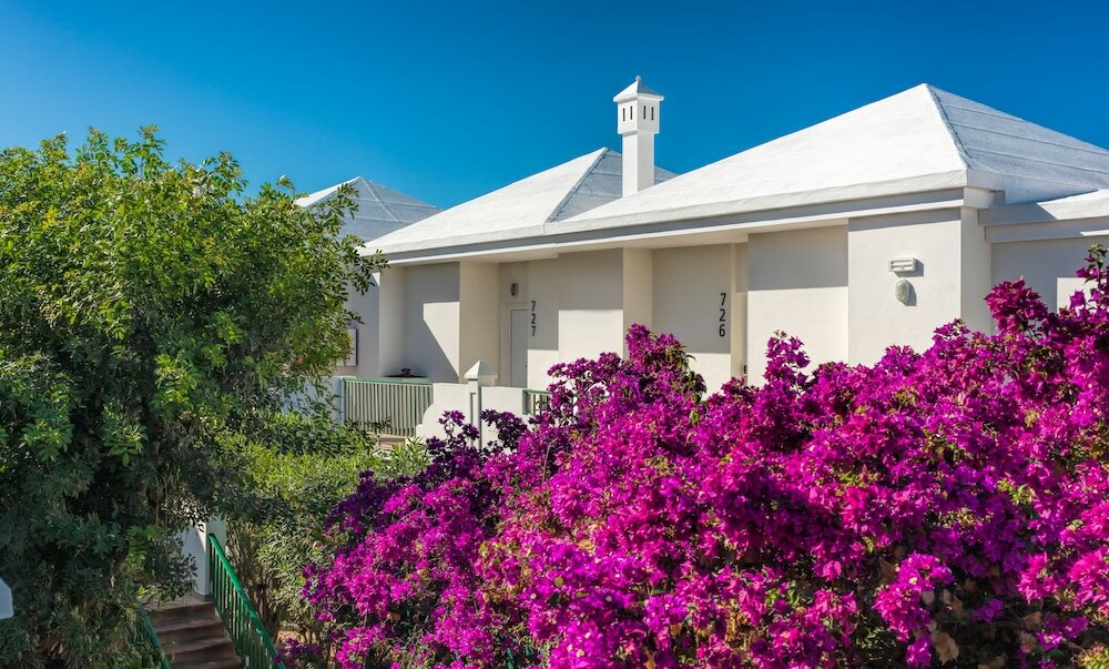 Фото 65227662441